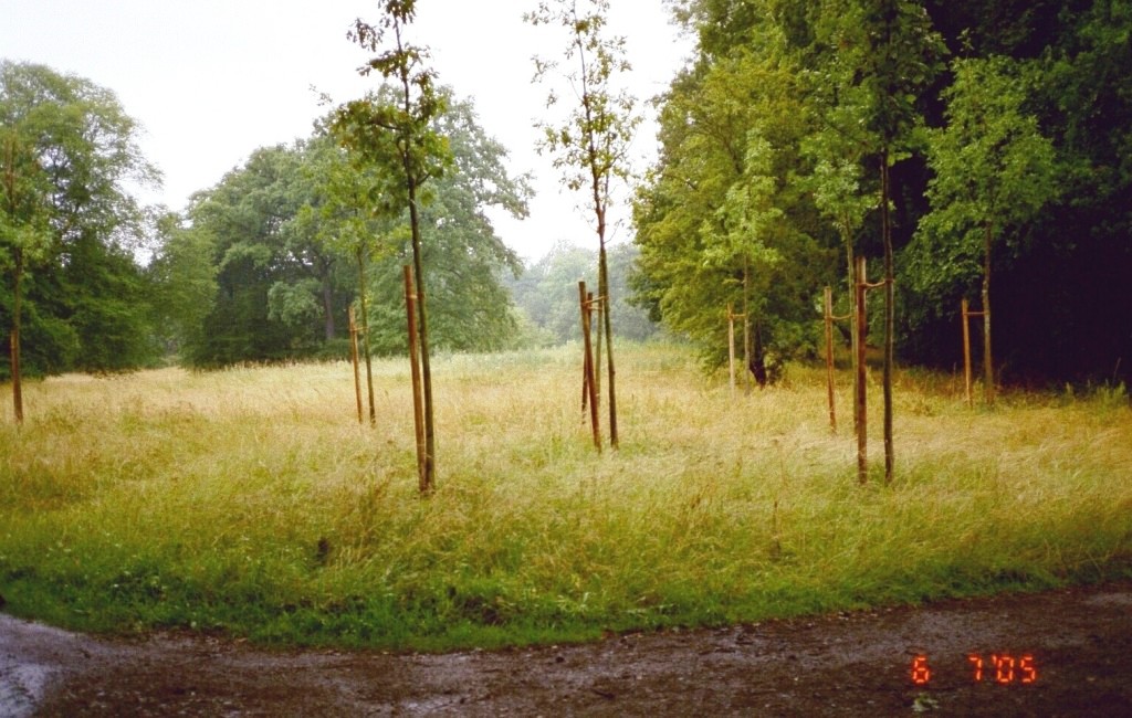 vom Drachentorweg aus gesehen